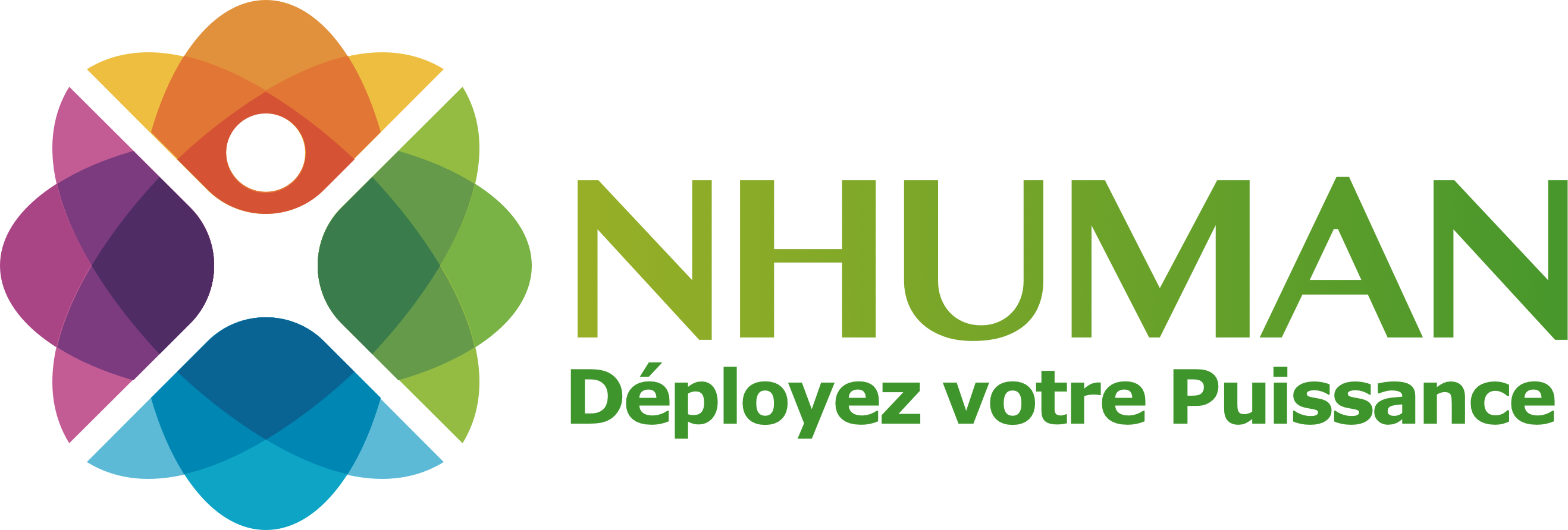 Logo NHUMAN – Coaching de dirigeants & intelligence collective